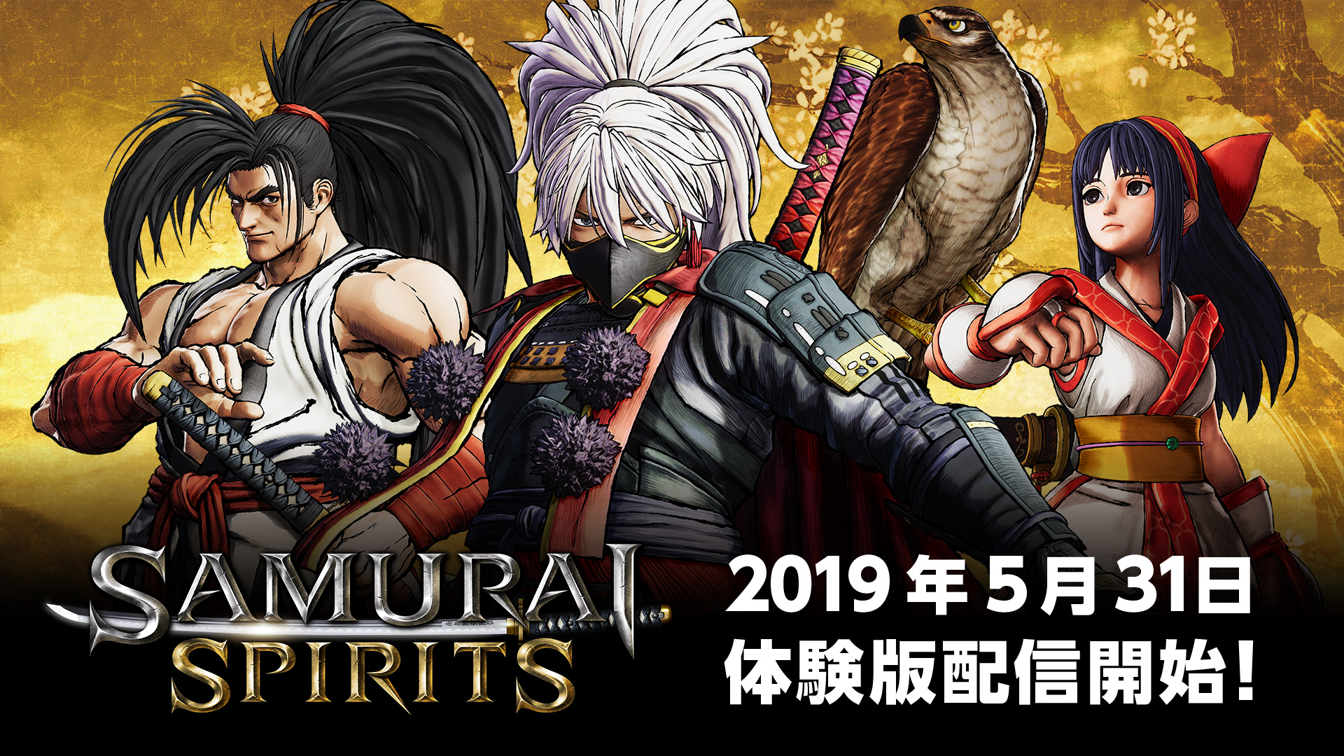 剣戟対戦格闘ゲーム『SAMURAI SPIRITS』