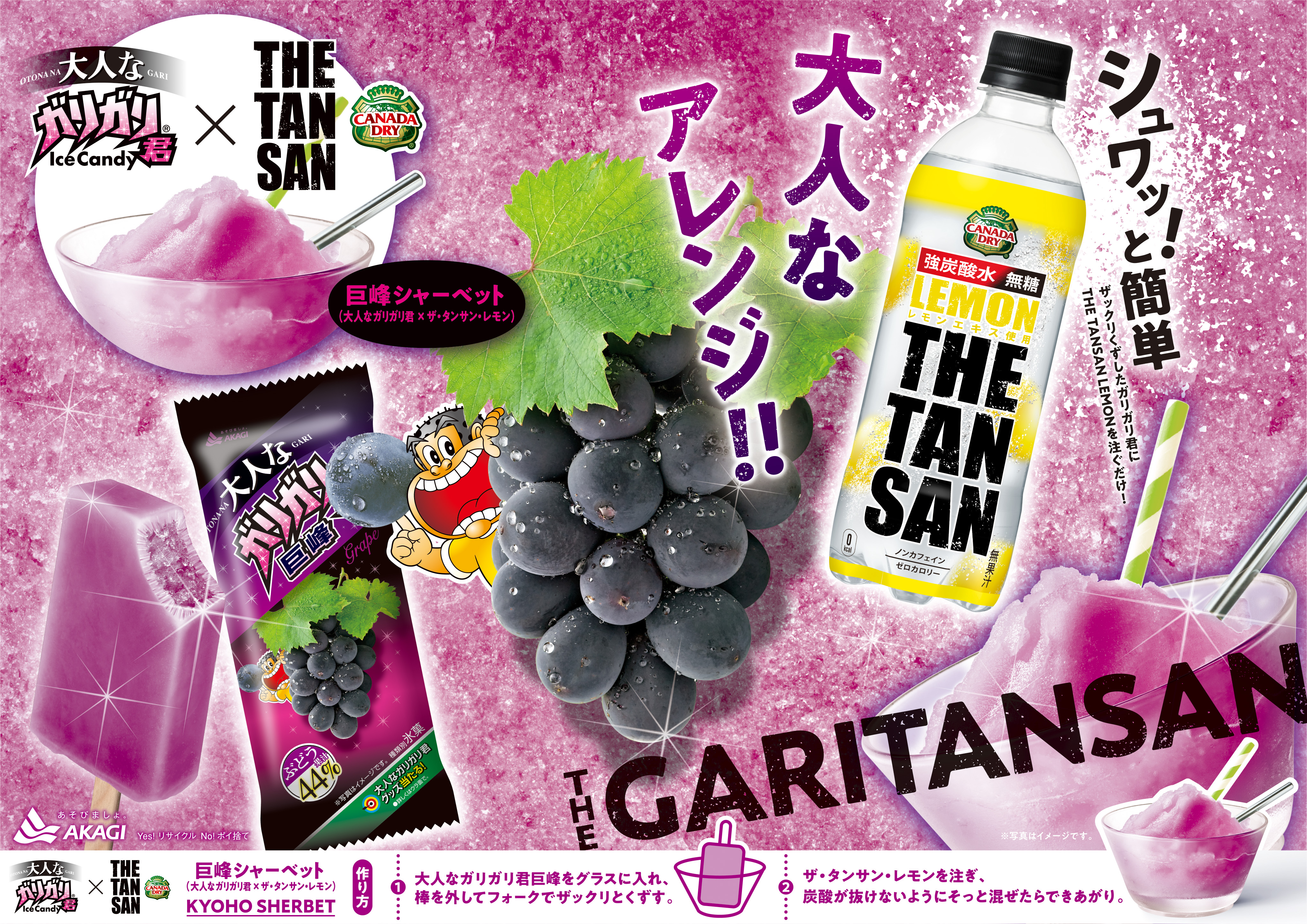 ザ・タンサン&ガリガリ君でシャーベット企画